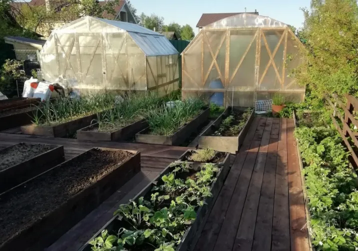 Доски между грядками