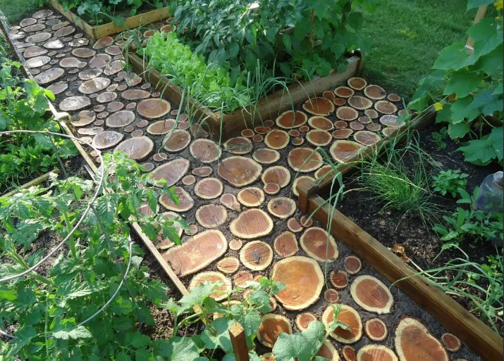 Спилы деревьев