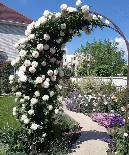 Декоративная арка с розами - миниатюра