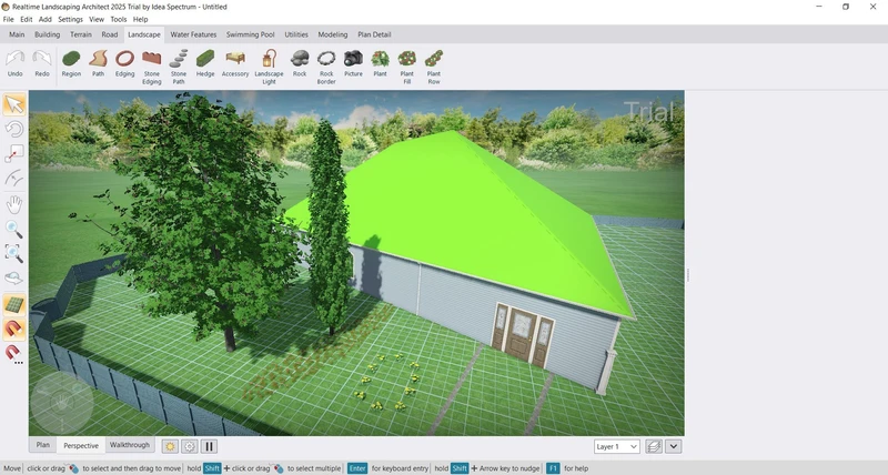 деревья и кустарники